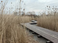 -永定河休闲森林公园