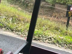 -杭州野生动物世界