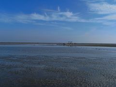 -北海金海湾红树林生态旅游区