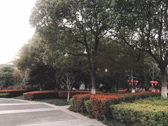 -杭州城北体育公园