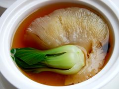 菜胆炖翅-御唐府海珊瑚主题餐厅