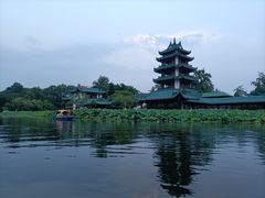 -桂湖森林公园