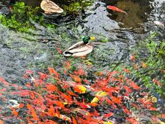 -水磨沟公园