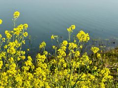 -苏州吴中太湖旅游区