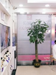 点击看大图 -痘博士广州·全国连锁祛痘机构