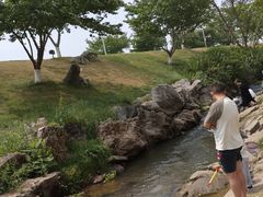 -羊山湖公园