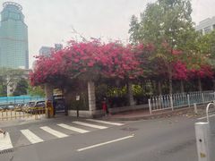 -孖记茶档·热腾茶餐(乐峰店)