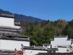 -塔川景区
