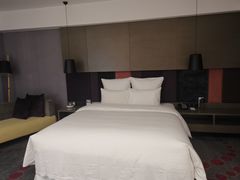 -南京禄口机场雅高铂尔曼大酒店