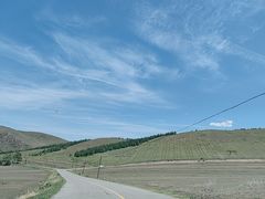 -草原天路(张北县)