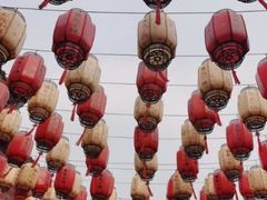 -渡海小渔村.老辈日照菜
