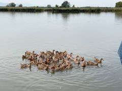 -野鸭湖国家湿地公园