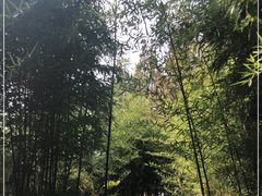 -嘉北郊野公园