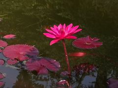 -国家植物园南园