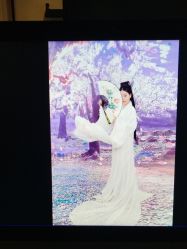 点击看大图 -红颜印画古风汉服艺术摄影