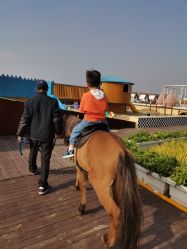 -小蜜蜂农场(凯德七宝购物广场店)