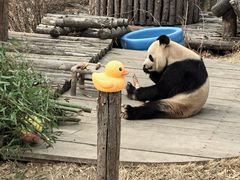 -大连森林动物园