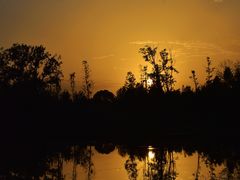 -白鹭湾湿地公园