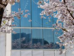 -龙美术馆(西岸馆)