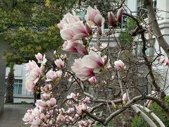 -虹迎轩·中餐厅(虹桥迎宾馆店)