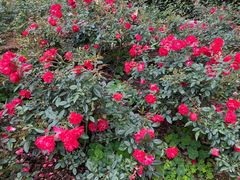 -人民公园(罗湖区)