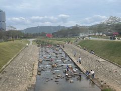 -光明小镇欢乐田园