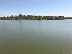 -东郊湿地公园