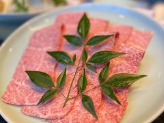 -然锅料理