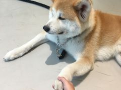 -YCHL Studios健身工作室(市二宫店)
