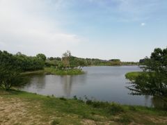 -东郊湿地公园
