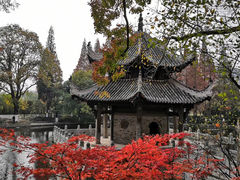 -习家池