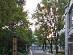 -中共上海市委党校 上海行政学院