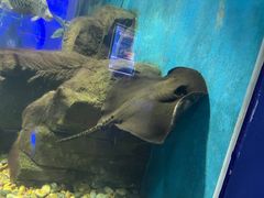 -石家庄海洋公园