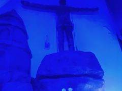 -芜湖新华联大白鲸海洋公园