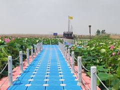 -洪泽湖古堰景区
