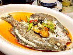 葱烧鲈鱼-绿茶餐厅(乐峰广场店)
