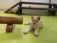 -北京野生动物园