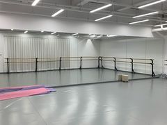 -中央芭蕾舞团·中芭艺蕾(酒仙桥明星校区)