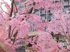 -首开·龙湖成都西宸天街