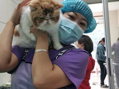 -北京观赏动物医院·24小时大型综合·猫专科·异宠专科