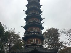 -上海佘山国家森林公园西佘山园