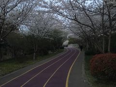 -尚贤河湿地