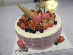 -维尔纳斯·生日蛋糕·动物奶油冰淇淋蛋糕(雨花店)