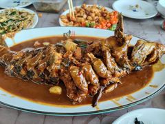 -荷塘月色鱼馆总店(于桥水库劈柴大院店)