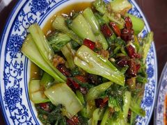 -京碗居老北京特色菜(北环东路店)