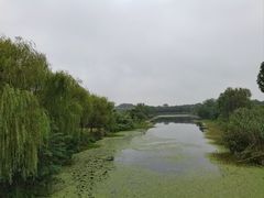 -南湖湿地公园