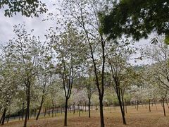 -中国移动南方基地