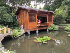 -深圳国际园林花卉博览园