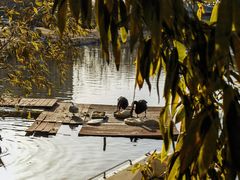 -春晖园度假酒店温泉