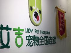 -艾吉宠物医院·疑难杂症转诊中心·猫友好(碧江路院)
